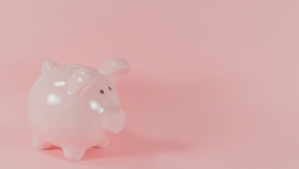 pink ceramic pig coin bank